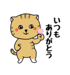 いろんな色の可愛い猫ちゃん【修正版】（個別スタンプ：2）