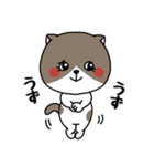 いろんな色の可愛い猫ちゃん【修正版】（個別スタンプ：4）
