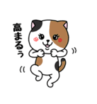 いろんな色の可愛い猫ちゃん【修正版】（個別スタンプ：8）