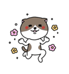 いろんな色の可愛い猫ちゃん【修正版】（個別スタンプ：9）