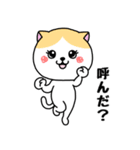 いろんな色の可愛い猫ちゃん【修正版】（個別スタンプ：16）