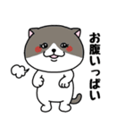 いろんな色の可愛い猫ちゃん【修正版】（個別スタンプ：30）