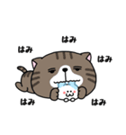 いろんな色の可愛い猫ちゃん【修正版】（個別スタンプ：36）