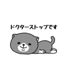 いろんな色の可愛い猫ちゃん【修正版】（個別スタンプ：37）