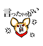 狂犬チワワ（個別スタンプ：3）
