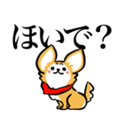 狂犬チワワ（個別スタンプ：5）
