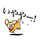 狂犬チワワ（個別スタンプ：6）