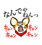 狂犬チワワ（個別スタンプ：9）