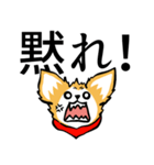 狂犬チワワ（個別スタンプ：11）