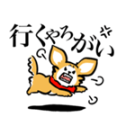 狂犬チワワ（個別スタンプ：12）
