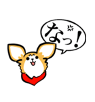 狂犬チワワ（個別スタンプ：13）