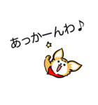 狂犬チワワ（個別スタンプ：16）