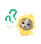 むぎもちスタンプ（個別スタンプ：2）