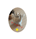 むぎもちスタンプ（個別スタンプ：7）