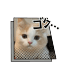 むぎもちスタンプ（個別スタンプ：13）