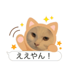 むぎもちスタンプ（個別スタンプ：14）