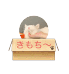 むぎもちスタンプ（個別スタンプ：19）