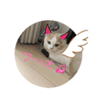 むぎもちスタンプ（個別スタンプ：20）