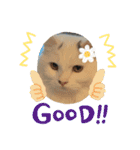 むぎもちスタンプ（個別スタンプ：21）
