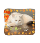 むぎもちスタンプ（個別スタンプ：24）