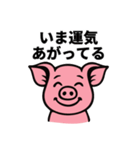 ブヒブヒ債務日記（個別スタンプ：26）
