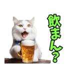 愛媛伊予弁☆にゃんこ（個別スタンプ：16）