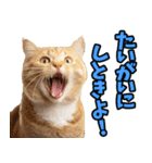 愛媛伊予弁☆にゃんこ（個別スタンプ：33）