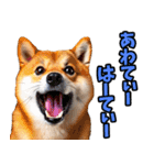 沖縄弁☆柴犬（個別スタンプ：23）