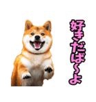 沖縄弁☆柴犬（個別スタンプ：27）