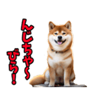 沖縄弁☆柴犬（個別スタンプ：38）