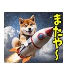 沖縄弁☆柴犬（個別スタンプ：39）