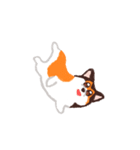 犬のプロペラ（個別スタンプ：6）