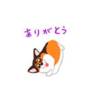 犬のプロペラ（個別スタンプ：9）