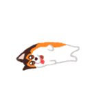 犬のプロペラ（個別スタンプ：10）