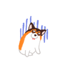 犬のプロペラ（個別スタンプ：16）