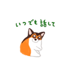 犬のプロペラ（個別スタンプ：24）
