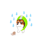 犬のプロペラ（個別スタンプ：30）