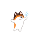 犬のプロペラ（個別スタンプ：31）