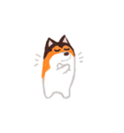 犬のプロペラ（個別スタンプ：32）