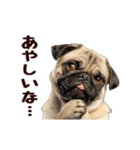 動く！パグ（個別スタンプ：3）