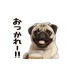 動く！パグ（個別スタンプ：6）