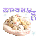 夏 猛暑 酷暑♡トラとネコ（個別スタンプ：12）