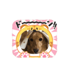 シニアブラザーず（個別スタンプ：5）