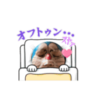 わいワイYー！（個別スタンプ：6）