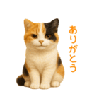 毎日使える♪ぬいぐるみ三毛猫スタンプ（個別スタンプ：4）