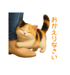 毎日使える♪ぬいぐるみ三毛猫スタンプ（個別スタンプ：10）