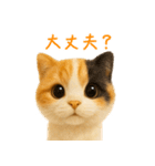 毎日使える♪ぬいぐるみ三毛猫スタンプ（個別スタンプ：11）