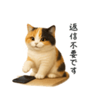 毎日使える♪ぬいぐるみ三毛猫スタンプ（個別スタンプ：13）