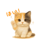 毎日使える♪ぬいぐるみ三毛猫スタンプ（個別スタンプ：16）