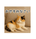 毎日使える♪ぬいぐるみ三毛猫スタンプ（個別スタンプ：18）